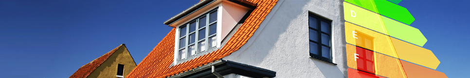 Banner - Maik Mahlig